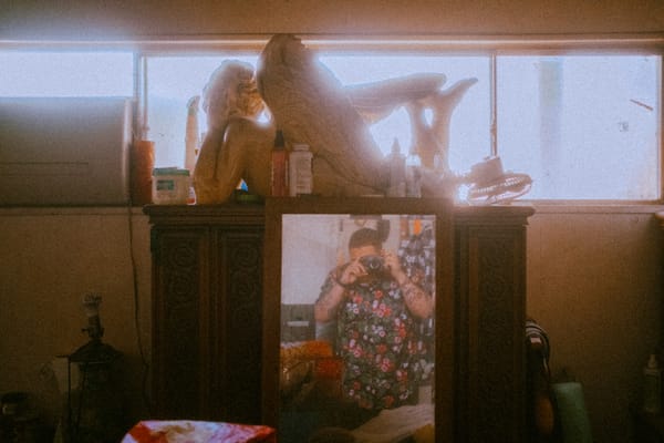 Self-Reflection, Vol. 2