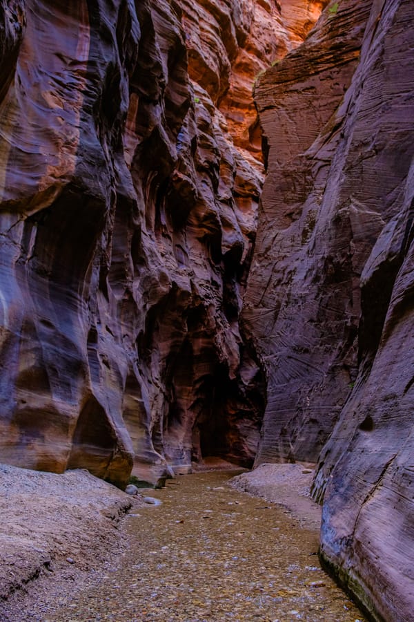 Zion National Park, Day 2