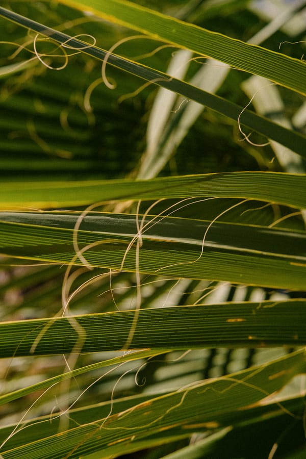 "Hike?! For Your Birthday?"