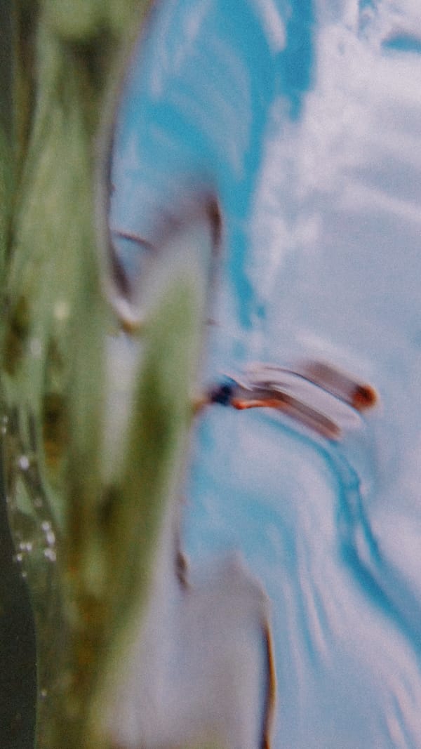 Between Word and Meaning, Part II